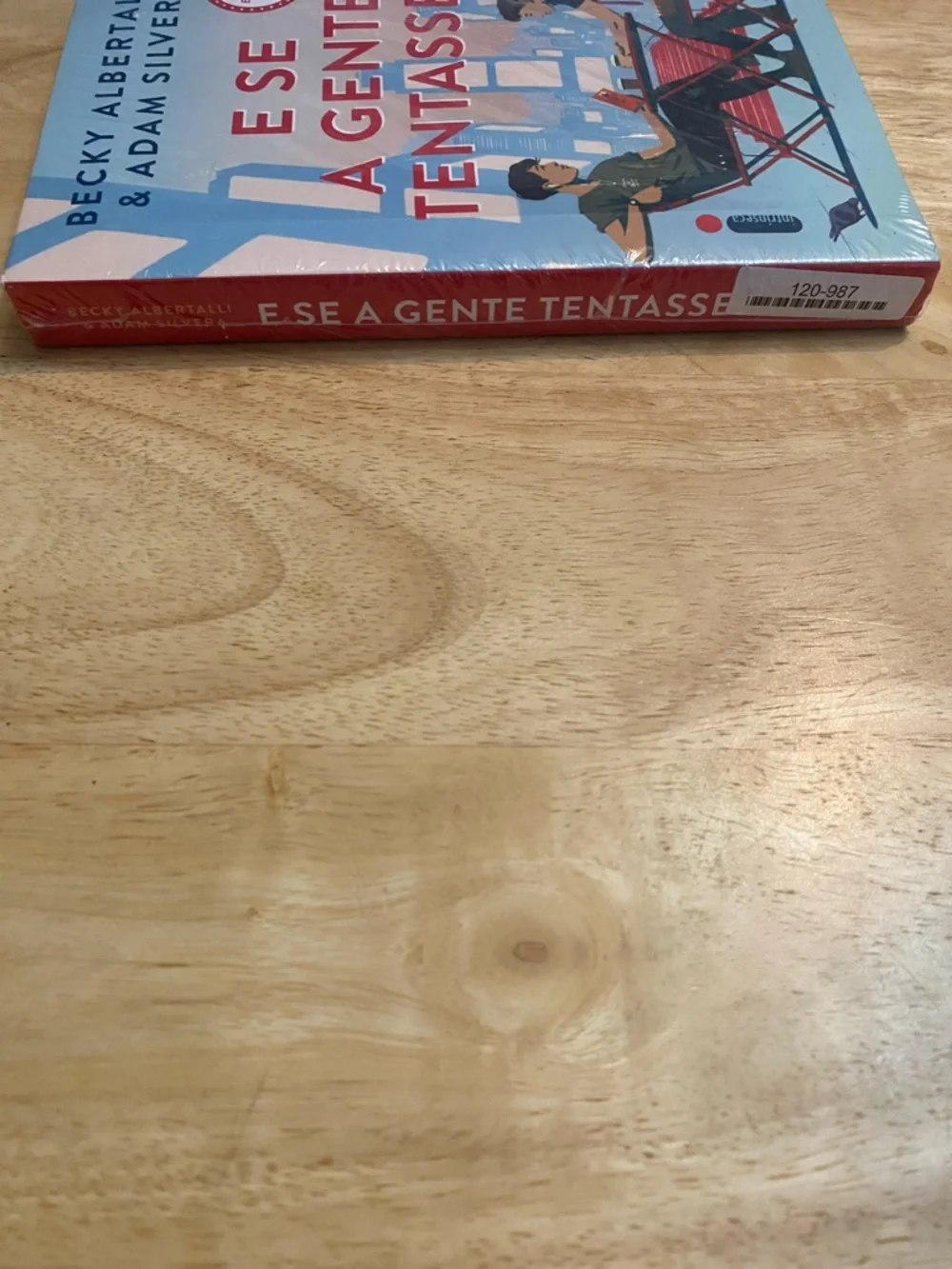 E Se A Gente Tentasse? Becky Albertalli & Adam Silvera Paperback Book
